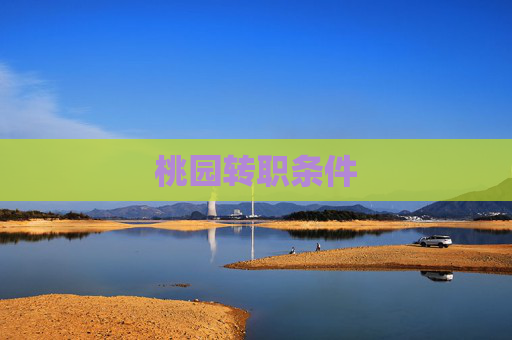 桃园转职条件 桃园转职条件
