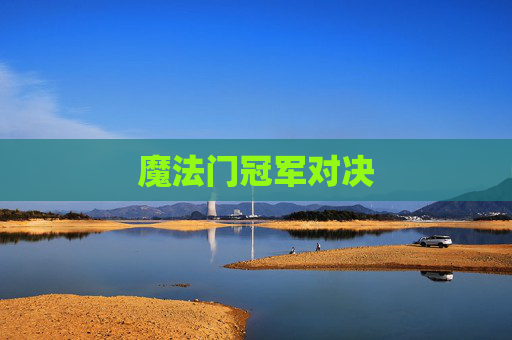 魔法门冠军对决
