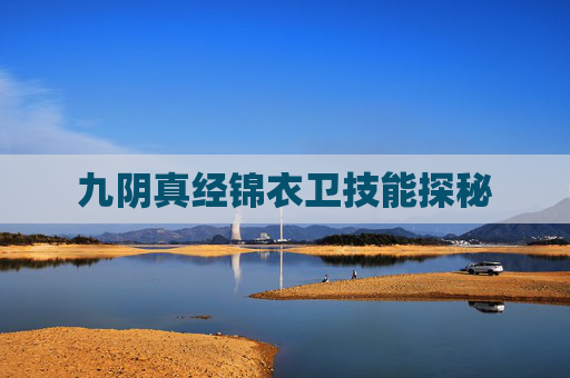 九阴真经锦衣卫技能探秘