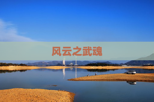 风云之武魂