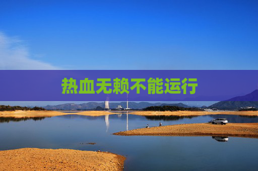 热血无赖不能运行