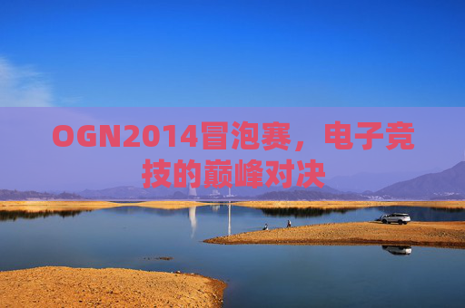 OGN2014冒泡赛，电子竞技的巅峰对决