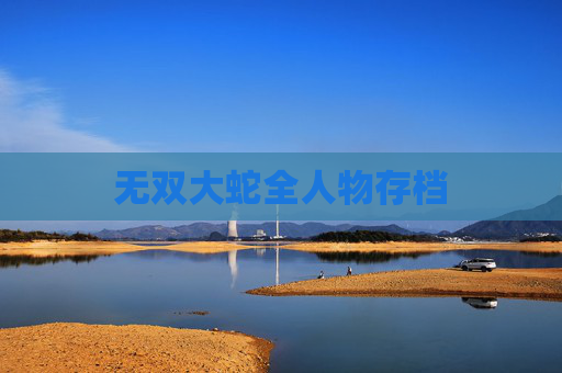 无双大蛇全人物存档 无双大蛇全人物存档