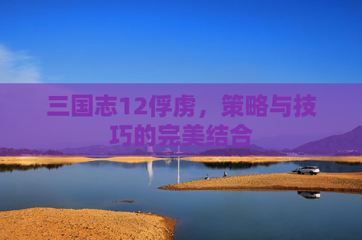三国志12俘虏,策略与技巧的完美结合 三国志12俘虏,策略与技巧的完美结合