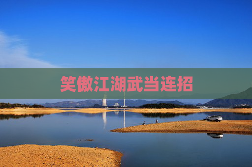 笑傲江湖武当连招