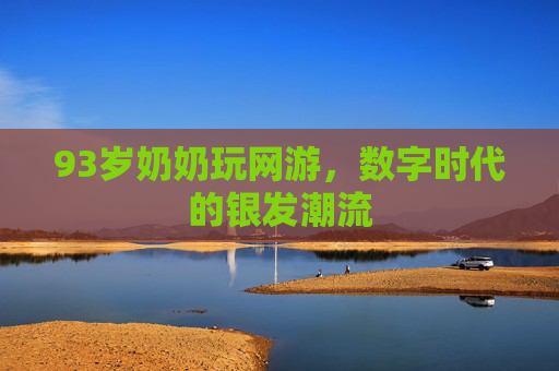 93岁奶奶玩网游，数字时代的银发潮流