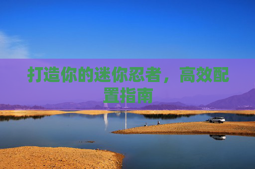 打造你的迷你忍者，高效配置指南