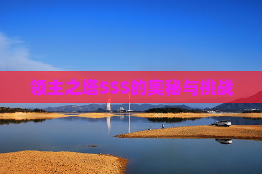 领主之塔SSS的奥秘与挑战