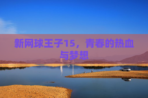 新网球王子15,青春的热血与梦想 新网球王子15,青春的热血与梦想