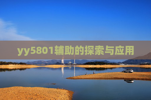 yy5801辅助的探索与应用