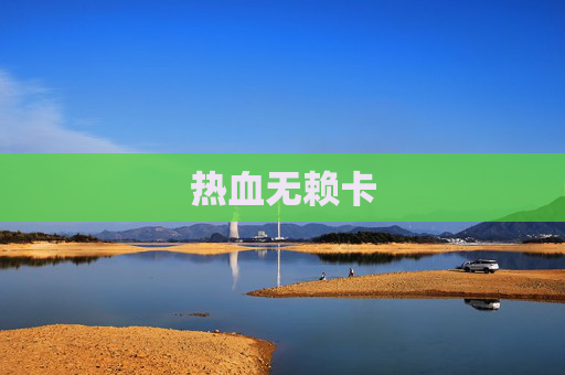 热血无赖卡 热血无赖卡