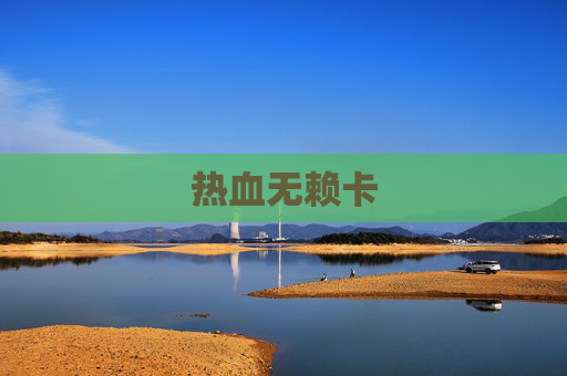 热血无赖卡