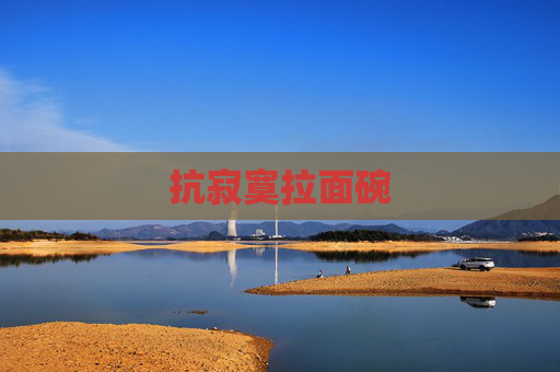 抗寂寞拉面碗
