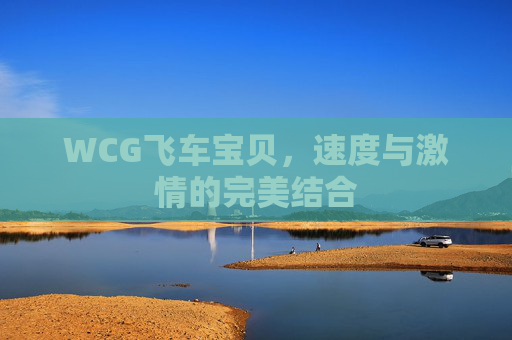 WCG飞车宝贝,速度与激情的完美结合 WCG飞车宝贝,速度与激情的完美结合