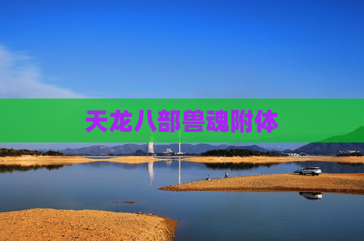 天龙八部兽魂附体