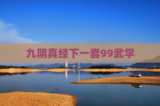 九阴真经下一套99武学