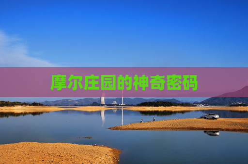 摩尔庄园的神奇密码