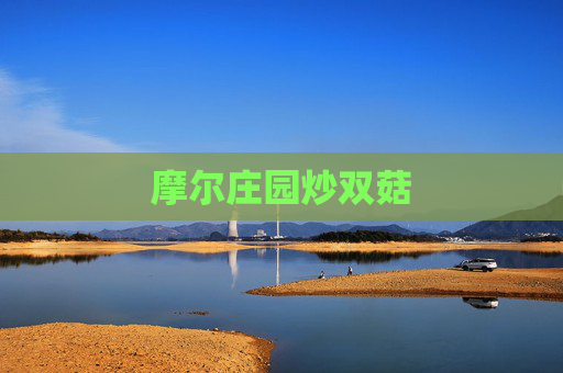 摩尔庄园炒双菇 摩尔庄园炒双菇