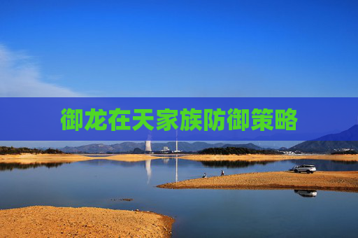 御龙在天家族防御策略 御龙在天家族防御策略
