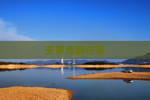 天罗地网伤害 天罗地网伤害