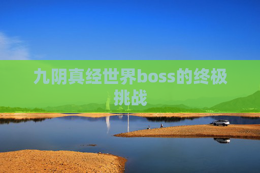 九阴真经世界boss的终极挑战