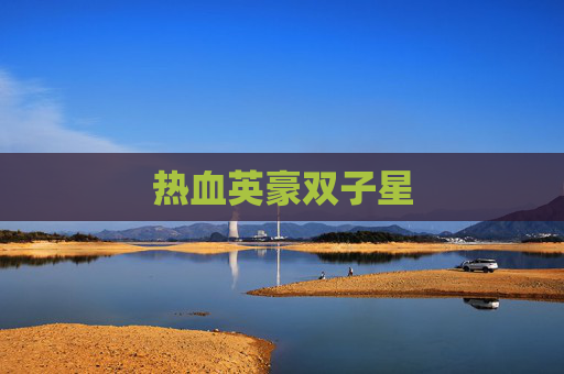 热血英豪双子星 热血英豪双子星