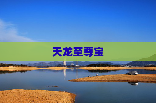 天龙至尊宝