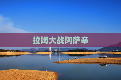 拉姆大战阿萨辛 拉姆大战阿萨辛