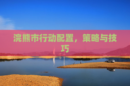 浣熊市行动配置，策略与技巧