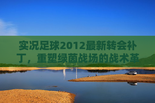 实况足球2012最新转会补丁，重塑绿茵战场的战术革新
