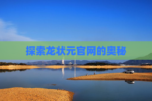 探索龙状元官网的奥秘