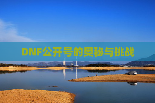 DNF公开号的奥秘与挑战