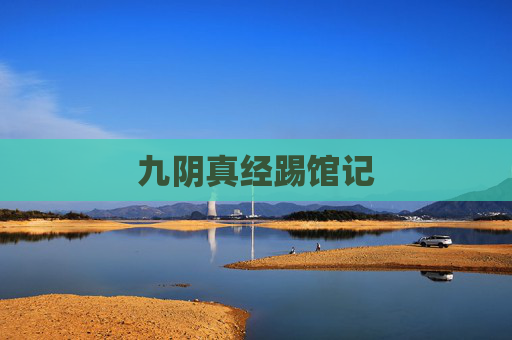 九阴真经踢馆记