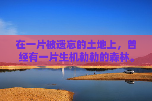 在一片被遗忘的土地上,曾经有一片生机勃勃的森林。然而,一场突如其来的灾难夺走了它的生命,留下了一片荒凉的土地。这片土地被称为悲泣荒原,它见证了一个生命的消逝,也承载着无尽的哀伤和思念 在一片被遗忘的土地上,曾经有一片生机勃勃的森林。然而,一场突如其来的灾难夺走了它的生命,留下了一片荒凉的土地。这片土地被称为悲泣荒原,它见证了一个生命的消逝,也承载着无尽的哀伤和思念