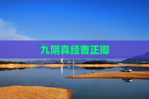 九阴真经曹正卿 九阴真经曹正卿