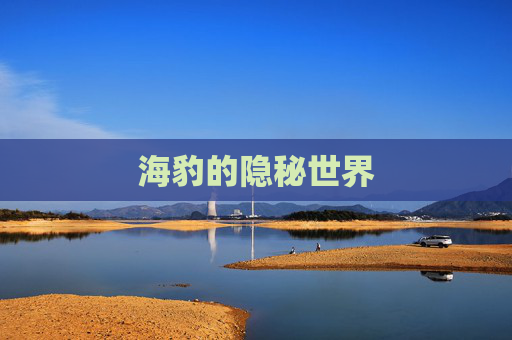 海豹的隐秘世界