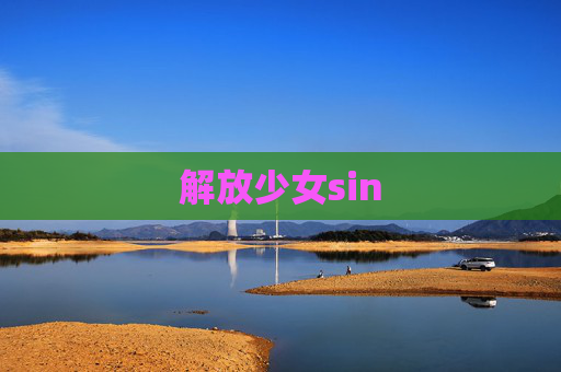 解放少女sin