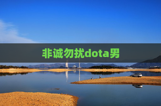 非诚勿扰dota男 非诚勿扰dota男