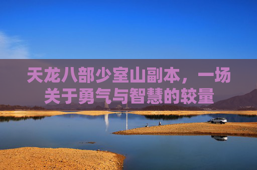 天龙八部少室山副本,一场关于勇气与智慧的较量 天龙八部少室山副本,一场关于勇气与智慧的较量