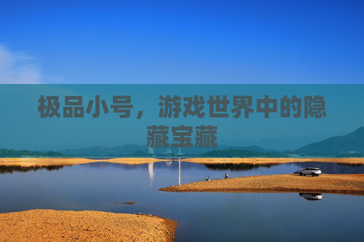 极品小号,游戏世界中的隐藏宝藏 极品小号,游戏世界中的隐藏宝藏