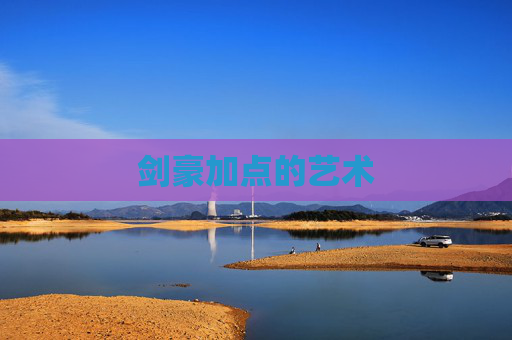 剑豪加点的艺术 剑豪加点的艺术