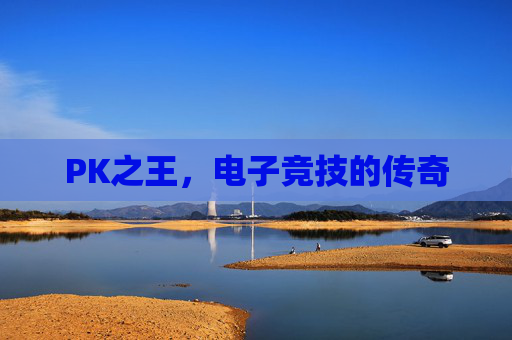 PK之王，电子竞技的传奇