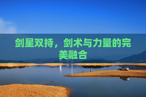 剑星双持,剑术与力量的完美融合 剑星双持,剑术与力量的完美融合