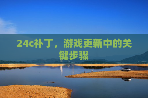 24c补丁，游戏更新中的关键步骤