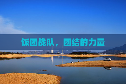 饭团战队,团结的力量 饭团战队,团结的力量