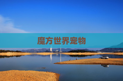 魔方世界宠物