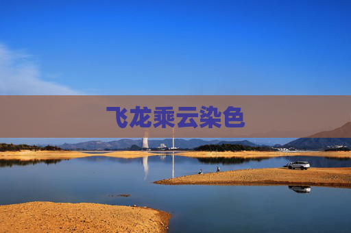 飞龙乘云染色 飞龙乘云染色