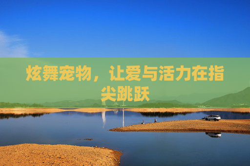 炫舞宠物，让爱与活力在指尖跳跃