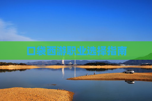 口袋西游职业选择指南