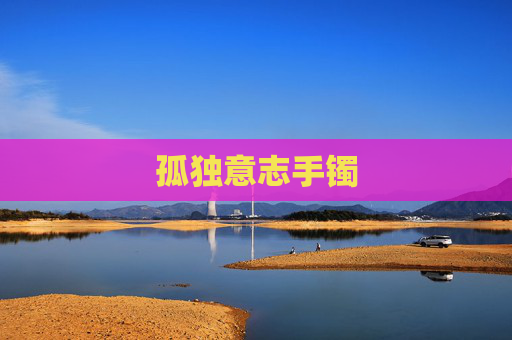 孤独意志手镯 孤独意志手镯